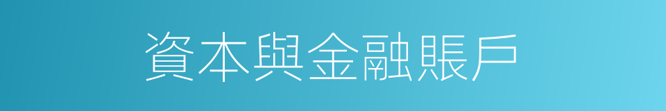 資本與金融賬戶的同義詞
