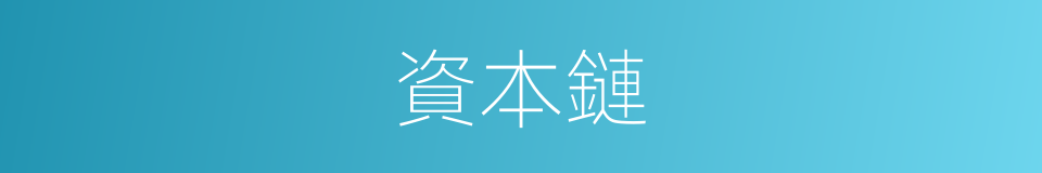 資本鏈的同義詞