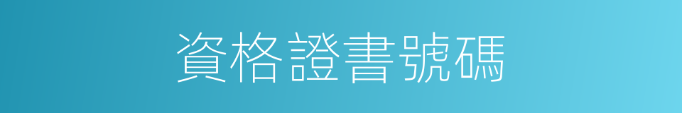 資格證書號碼的同義詞