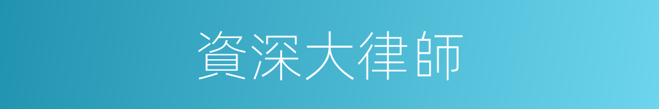 資深大律師的同義詞