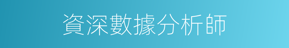 資深數據分析師的同義詞