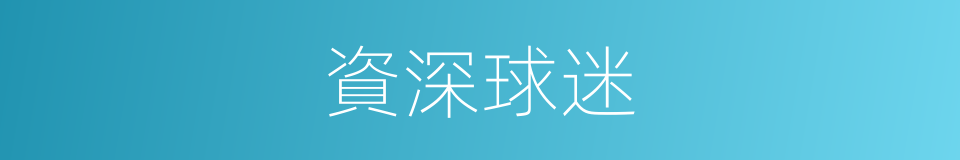 資深球迷的同義詞