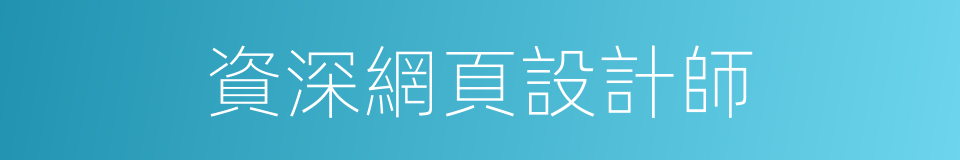 資深網頁設計師的同義詞