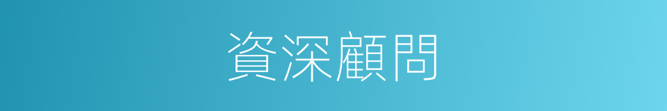 資深顧問的同義詞