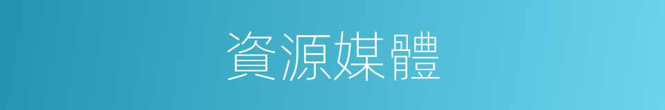 資源媒體的同義詞