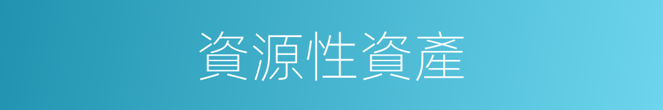 資源性資產的同義詞