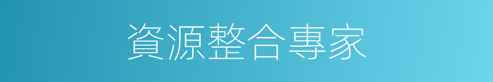 資源整合專家的同義詞