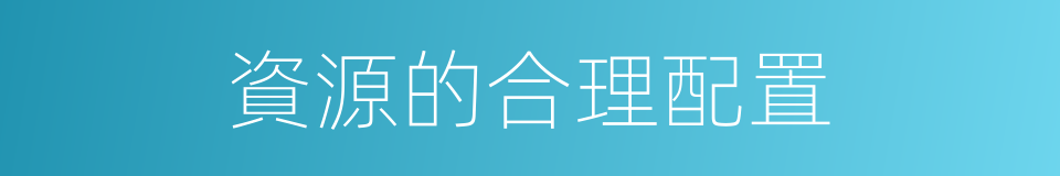 資源的合理配置的同義詞