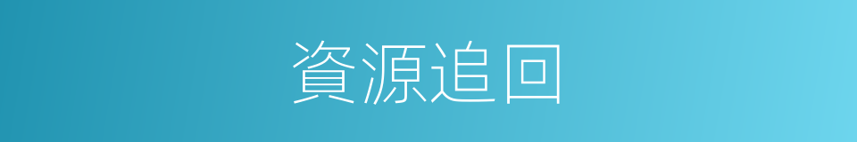 資源追回的同義詞