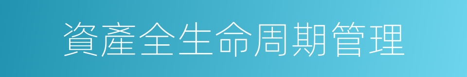 資產全生命周期管理的同義詞