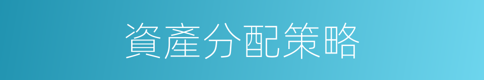資產分配策略的同義詞