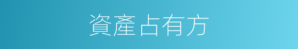 資產占有方的同義詞