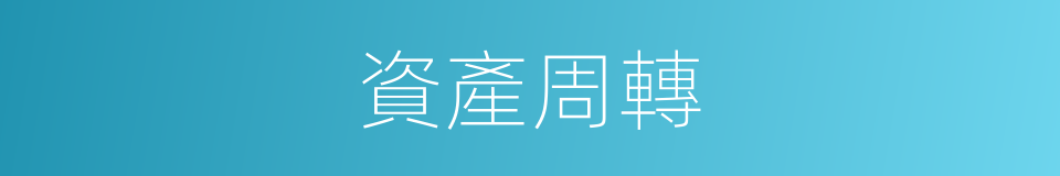 資產周轉的同義詞