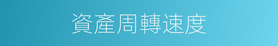 資產周轉速度的同義詞
