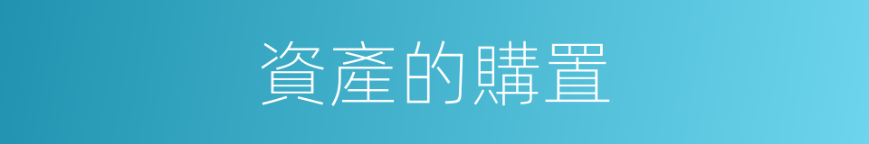 資產的購置的同義詞