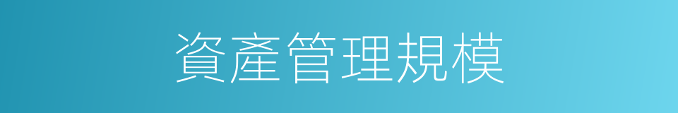 資產管理規模的同義詞