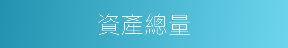 資產總量的同義詞