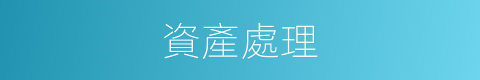 資產處理的同義詞