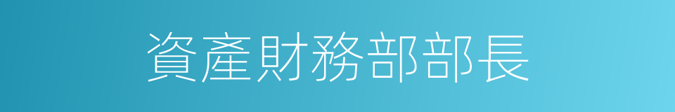 資產財務部部長的同義詞