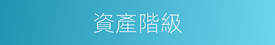 資產階級的同義詞