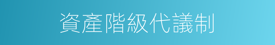 資產階級代議制的同義詞