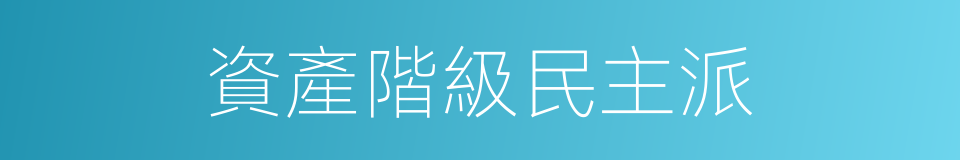 資產階級民主派的同義詞