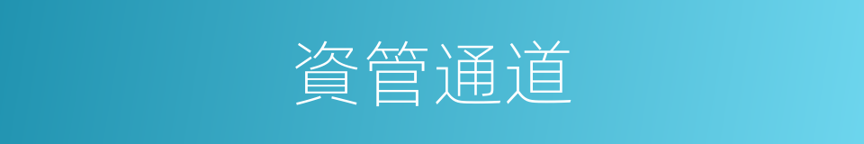 資管通道的同義詞