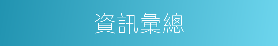 資訊彙總的同義詞
