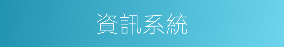 資訊系統的同義詞