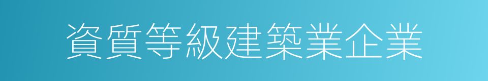 資質等級建築業企業的同義詞