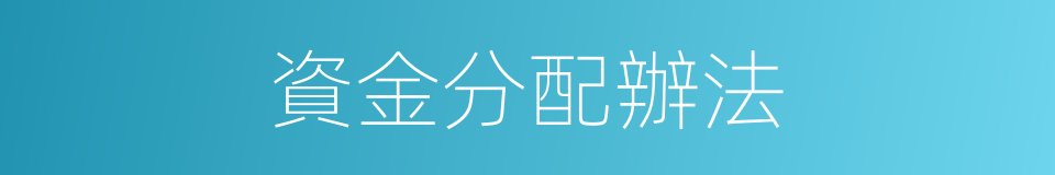 資金分配辦法的同義詞