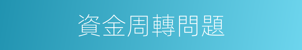 資金周轉問題的同義詞