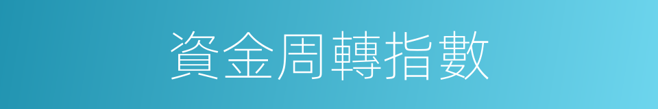 資金周轉指數的同義詞