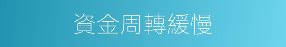資金周轉緩慢的同義詞
