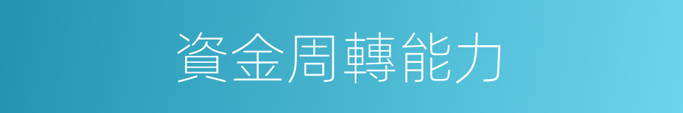 資金周轉能力的同義詞