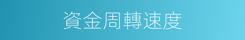 資金周轉速度的同義詞