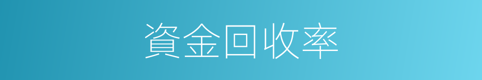 資金回收率的同義詞