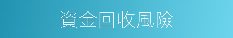 資金回收風險的同義詞