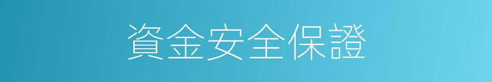 資金安全保證的同義詞
