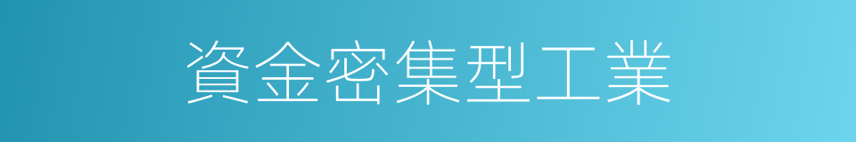 資金密集型工業的同義詞