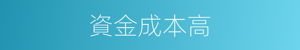 資金成本高的同義詞