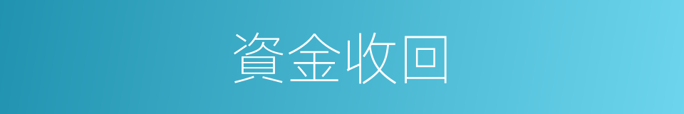 資金收回的同義詞