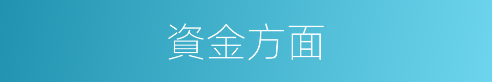 資金方面的同義詞