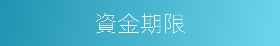 資金期限的同義詞