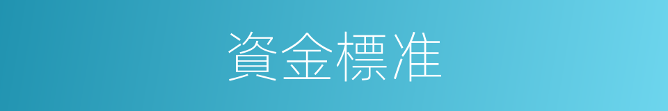 資金標准的同義詞