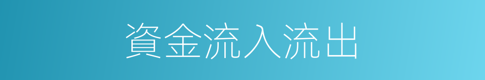 資金流入流出的同義詞