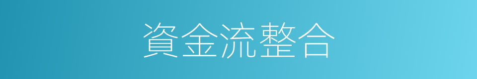 資金流整合的同義詞