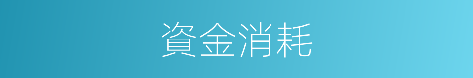 資金消耗的同義詞