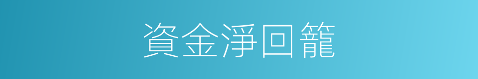 資金淨回籠的同義詞