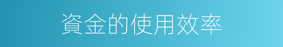 資金的使用效率的同義詞